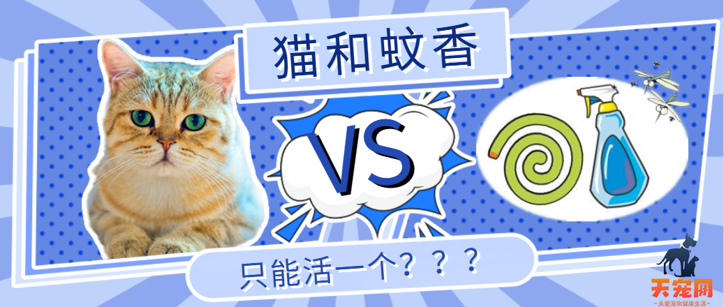 猫和蚊香，只能活一个？