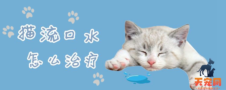 猫流口水怎么治疗