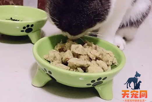 小奶猫多久可以吃猫粮