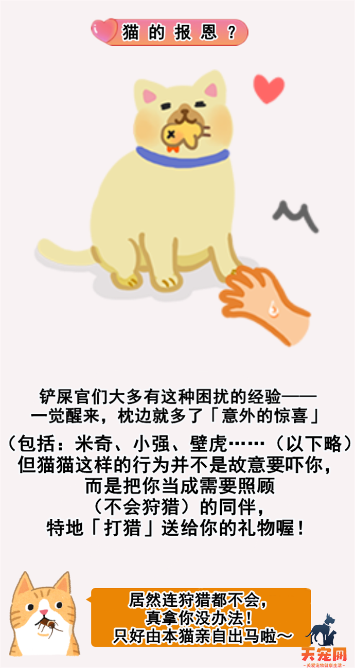 猫咪到底爱不爱我？