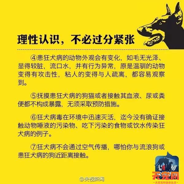 猫咖的猫有狂犬病吗 都有打过疫苗吗?