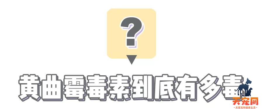 猫狗粮有没有“毒”，一张18元的测试卡就能立刻测出来？