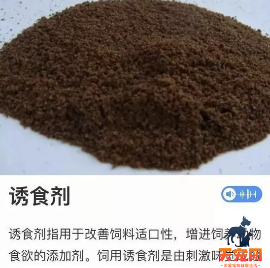 淘宝上便宜的猫粮是用什么做的 说出来你可能都不相信....淘宝上便宜的猫粮是用什么做的 说出来你可能都不相信....