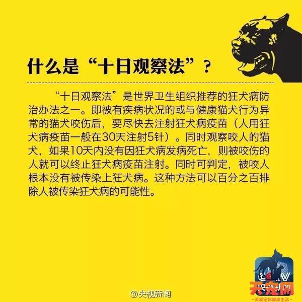 被流浪猫咬了出血了怎么办 需要打针吗?