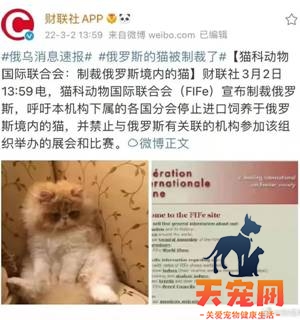 就很离谱！连猫都被制裁了！？