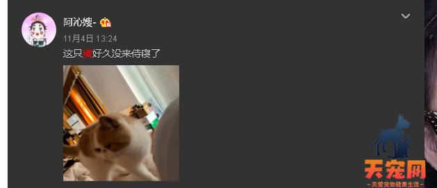 阿沁刘阳分手  渣男分手以后还要带走猫....阿沁刘阳分手？ 渣男分手以后还要带走猫....阿沁刘阳分手？ 渣男分手以后还要带走猫....阿沁刘阳分手？ 渣男分手以后还要带走猫....阿沁刘阳分手？ 渣男分手以后还要带走猫....阿沁刘阳分手？ 渣男分手以后还要带走猫....