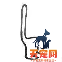 猫尾巴炸毛怎么回事 尾巴炸毛的信息你都掌握了吗猫尾巴炸毛怎么回事