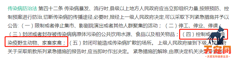 为什么3只核酸呈阳性的猫必须被执行安乐死？