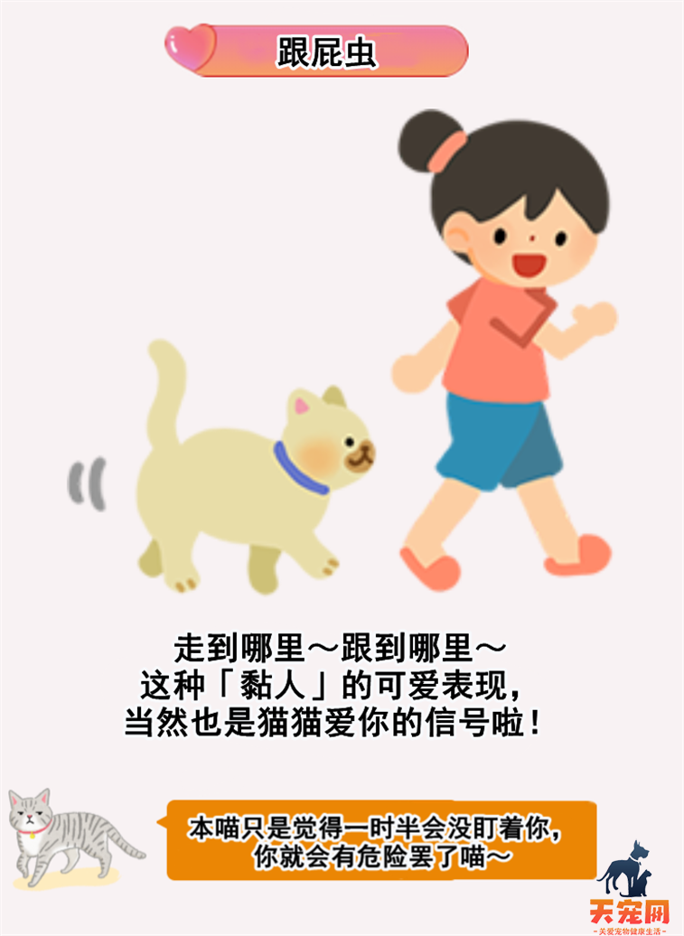 猫咪到底爱不爱我？