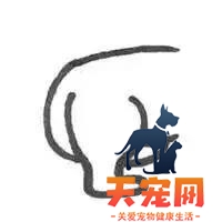 猫尾巴炸毛怎么回事 尾巴炸毛的信息你都掌握了吗猫尾巴炸毛怎么回事