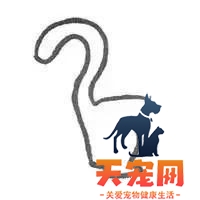 猫尾巴炸毛怎么回事 尾巴炸毛的信息你都掌握了吗猫尾巴炸毛怎么回事