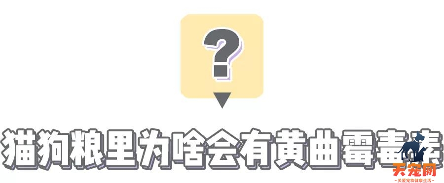 猫狗粮有没有“毒”，一张18元的测试卡就能立刻测出来？