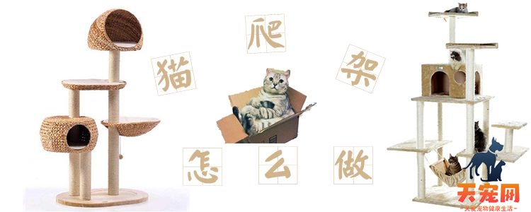 猫爬架制作教程