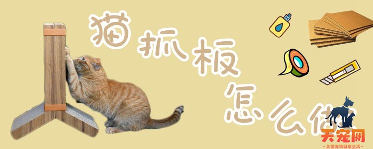 猫抓板怎么做