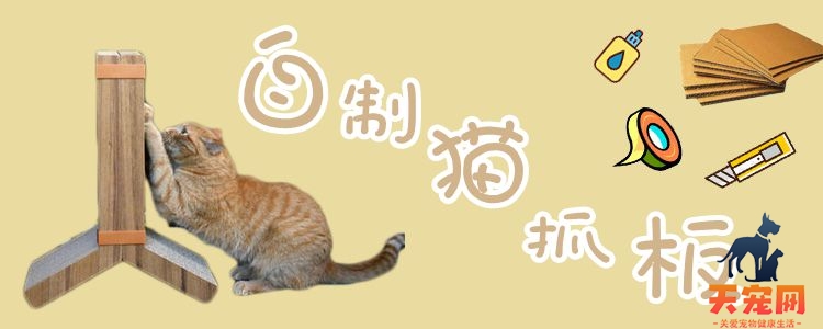 如何自制猫抓板